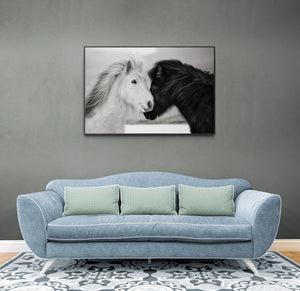 white and black horse heads make a shape of a heart canvas print small frame