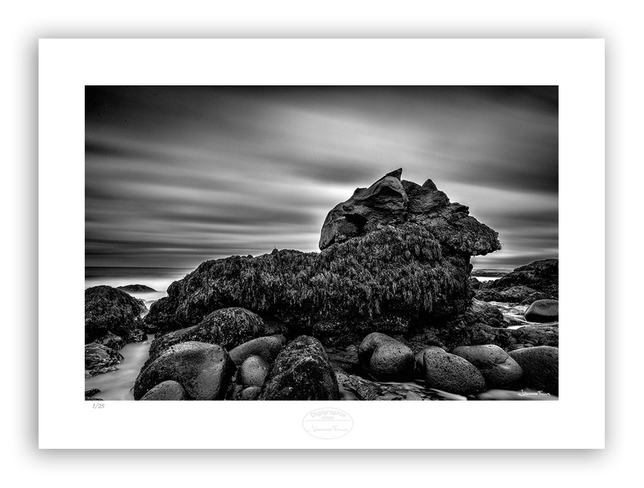 Dragons Nest a lavimage of a rock on a beach covered with seaweed 