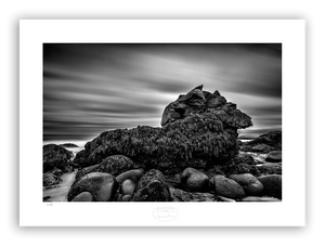 Dragons Nest a lavimage of a rock on a beach covered with seaweed 