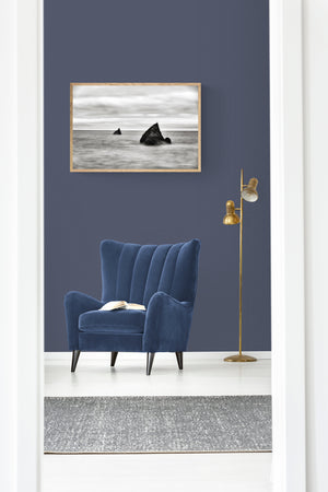 two seagulls sitting on rocks in the sea canvas print wood frame