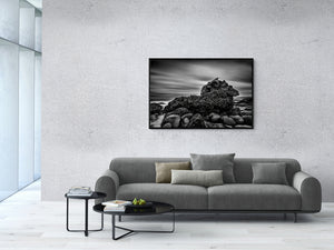 small frame image of a rock on a beach covered with seaweed 